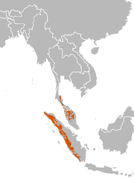 Sumatranserovin levinneisyys