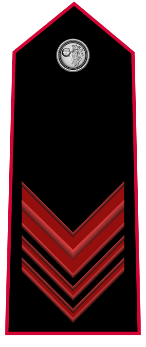 Carabinieri-OR-6.svg