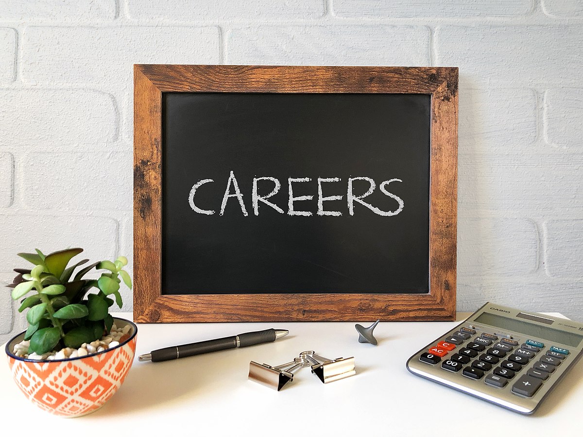 top 15 careers to pursue in the UK