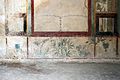 Casa dell'efebo, affreschi 19 piante.jpg