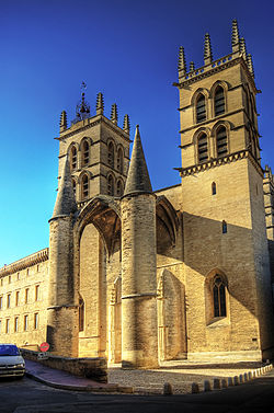 Cathédrale Saint-Pierre de Montpellier (2402940561).jpg