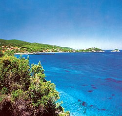 Cavo (isola d'elba).jpg