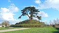 Le cèdre du Liban planté en 1849 sur son tertre dans le parc Michel d’Ornano près de l’abbaye aux Dames à Caen dans le Calvados. Il est accessible par un sentier bordé de charmilles appelé « Limaçon ».