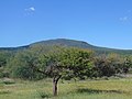 Miniatura para Cerro del Cimatario