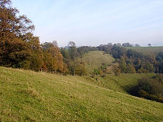 <span class="mw-page-title-main">Coombe Hill (Cotswolds)</span>