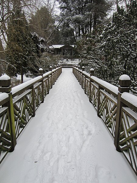 File Crystal Springs Rhododendron Garden Portland 2014 03 Jpg