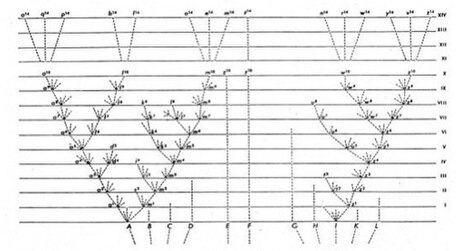 Árbol filogenético