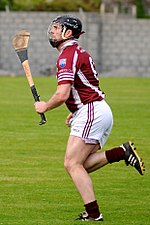 Thumbnail for David Forde (Galway hurler)