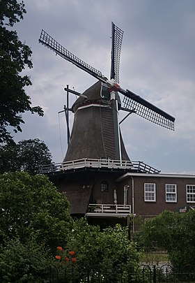 Da Wijk