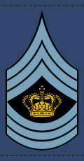 File:Denmark-AirForce-OR-9a.svg