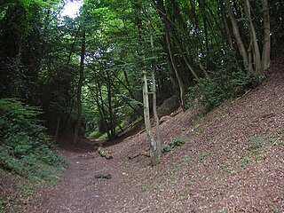 Devils Dyke, Hertfordshire Prehistoric defensive ditch