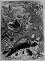 Die Gartenlaube (1870) b 221.jpg Ein Begräbniß im Walde Originalzeichnung von Emil Schmidt (S)