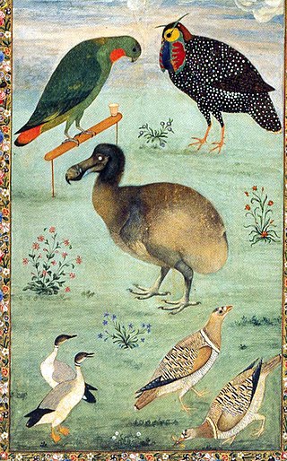 <span class="mw-page-title-main">Ustad Mansur</span> Mughal painter and court artist