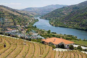 Douro valley (3913265326).jpg