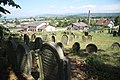 Čeština: Dolní část náhrobků na židovském hřbitově v Lošticích, okr. Šumperk. English: Down view of graves of Jewish cemetery in Loštice, Šumperk District.
