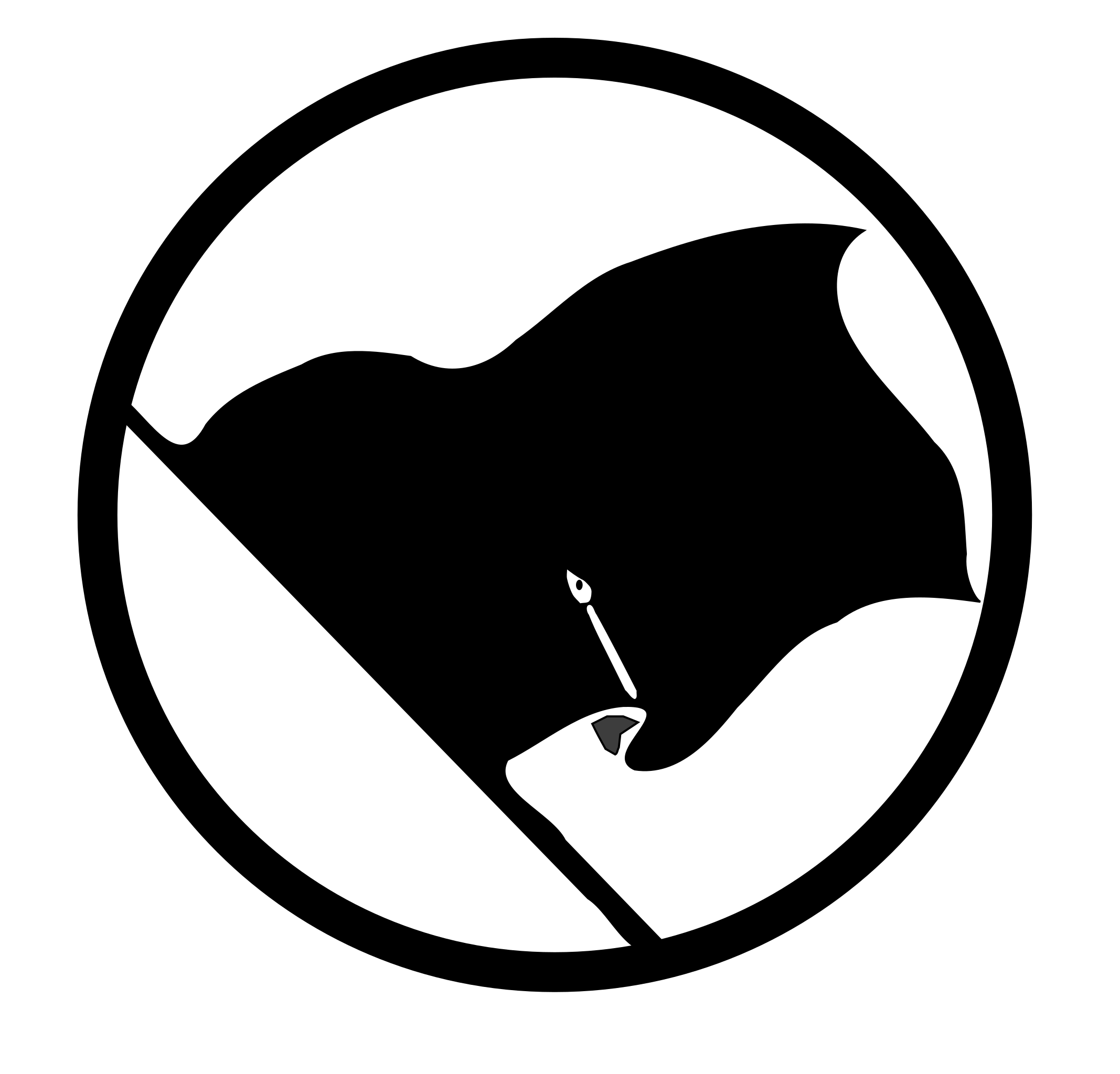 Fichier:Drapeau noir.svg — Wikipédia