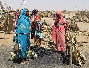 Binnenvertriebene Frauen verkaufen Holzkohle in al-Fāschir, Hauptstadt des Bundesstaates Nord-Darfur