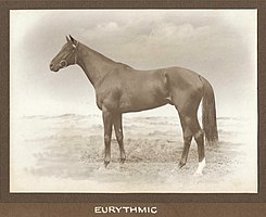 Eurythmic,1920, 1921,1922 winner.