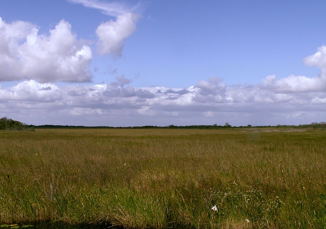 Coastal plain