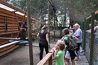 Bij de kapucijnapen van het familiepark Harry Malter