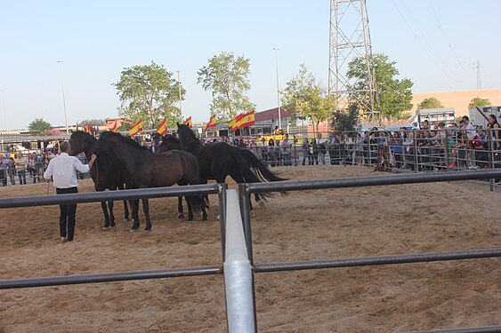 Festival of Spain in Nuova Fiera di Roma