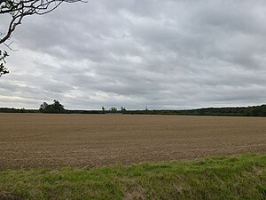 Large modern field, bare-soiled under a heavily clouded sky. It is September of a dry year, and the harvest has been in for over a month and the land prepared for next year. It looks bare and harrowed to a very smooth surface. Distant woodland frames the field.