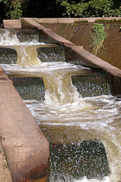 Fish pass on River Otter, alongside weir (top right in photo) near Otterton.