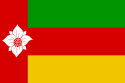 Flagge der Gemeinde Tynaarlo