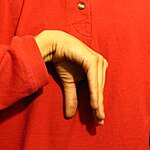 The "FlatC" handshape produced with the the pinky-finger edge of the palm facing the camera