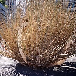 "Fractured Bubble", awarded "the people's choice" sukkah. Fractured Bubble.jpg