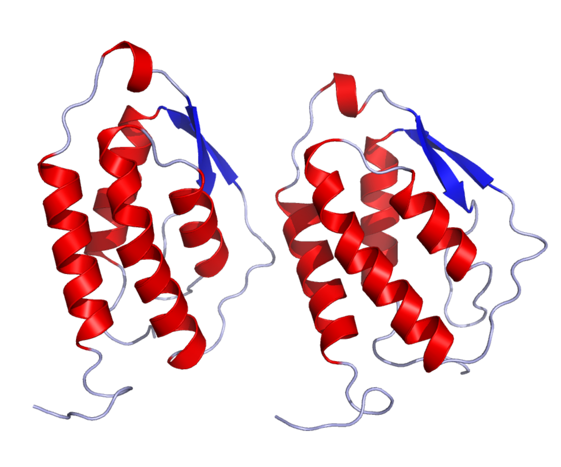 Facteur stimulant les colonies de granulocytes et de macrophages