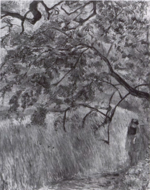 Gauguin - Wildenstein 2002, 177.png