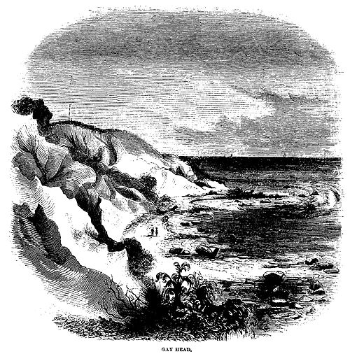 Gay Head (1860); Engraving by David Hunter Strother.