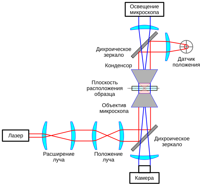 Файл:Generic Optical Tweezers Diagram-ru.svg