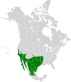 Geococcyx californianus map.svg