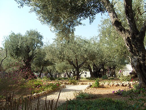 Getsemane2