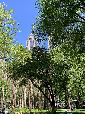 Ghost Forest by Maya Lin, on May 12, 2021 Ghost-Forest-by-Maya-Lin(51174879113).jpg