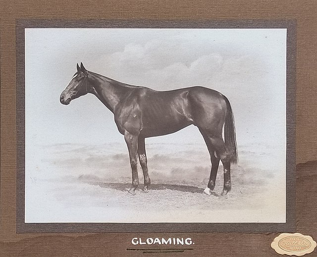 Gloaming, 1918 winner