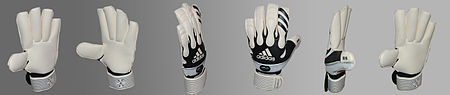 ไฟล์:Goalkeeperglove pano FCB981.jpg