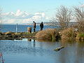 Thumbnail for Golden Gardens Park