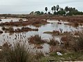 Miniatura per a la versió del 20:46, 10 maig 2015