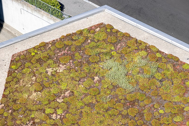 File:Green Roof at the WIPO Headquarters 3.jpg