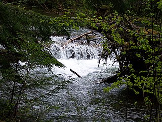 <span class="mw-page-title-main">Greenwater River</span> River in Washington, United States