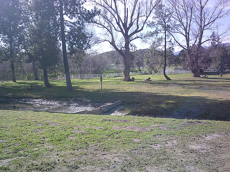 File:Grove at Glen Helen Regional Park.jpg