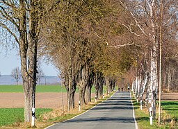 Holzhauser Straße in March