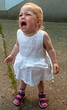 Two-year-old Hannah would like another ice cream