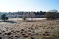 Januar: Heidesee in der Coesfelder Heide