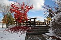 Herbst im Kurpark Bad Schlema, Sachsen...IMG 7637Schlema.jpg