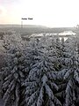 Der Hohe Wald, ein Berg bei Altenfeld