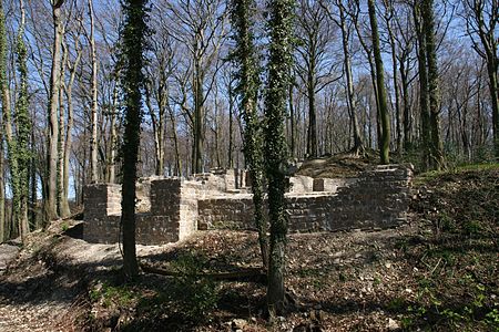 Holter burg ruine 01